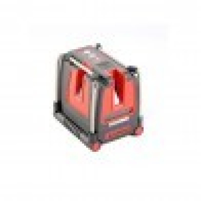 Prolaser vector Prolaser vector