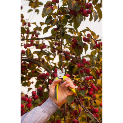 Bypass pruner Sexy 200mm, max 20mm. Bypass pruner Sexy 200mm, max 20mm.