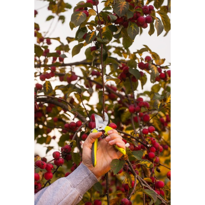 Bypass pruner Sexy 200mm, max 20mm. Bypass pruner Sexy 200mm, max 20mm.