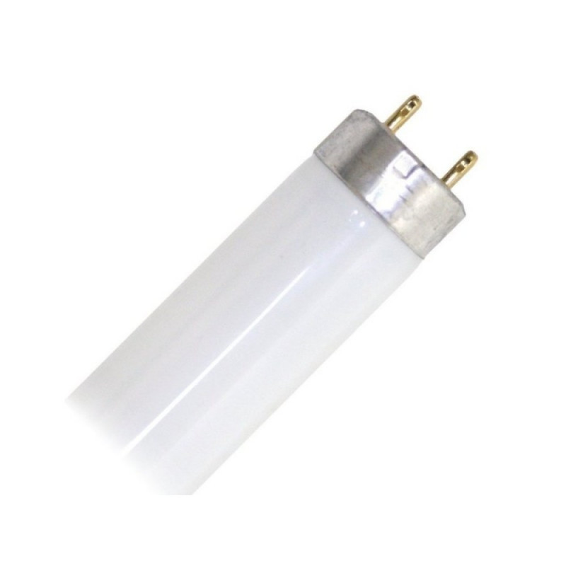 LAMP 20W FOR EIN-40 LAMP 20W FOR EIN-40